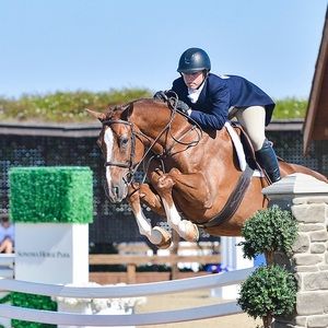 Meet your Posher, Bailey